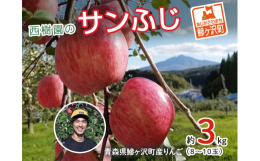 【お申込受付期間：2025年12月31日まで】【出荷予定：（年内）2025年11月15日〜12月25日（年明け）2026年1月6日〜1月10日】 ［青森県産りんご］青森県鰺ヶ沢町 西樹園のサンふじ約3