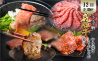 定期便 全12回 飛騨牛 5等級 しゃぶしゃぶ すき焼き 焼肉 お楽しみ定期便 12ヵ月 ロース もも うで 食べ比べ 国産牛 国産 牛肉 肉 厳選 熟成 肉の沖村 定期便