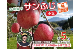 受付期間：2025年12月31日まで【年内発送予定：2025年11月15日〜12月25日・年明け発送予定：2026年1月6日〜10日 訳あり 西樹園のサンふじ 小玉 約5kg（18〜22玉）青森県鰺ヶ