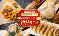 ＼大人気食べ比べ75個／生ぎょうざ専門店「新家」 生ぎょうざ 創作 ぎょうざ 5種類 食べくらべ セット 計75個 (各1袋 小分け 15個) 男前 しそ 旨辛 チーズ カレー ギョーザ 餃子 冷凍餃子 冷食 冷凍食品 惣菜 おかず 中華 ゼロックス 岐阜県 大垣市