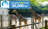【沖縄市】しろくまツアーで利用可能なWEB旅行クーポン (3万円分) 沖縄旅行 観光 ツアー トラベルクーポン 電子クーポン 30000円 沖縄市 / 株式会社ホワイト・ベアーファミリー [BCAV004]