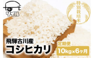 【2025年先行予約 10月から発送】令和7年産 米 定期便 こしひかり 6か月 10kg 米 定期便 6回 コシヒカリ 飛騨古川産 特別栽培米 こしひかり 10kg 特A ソイル