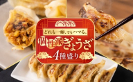 ＼個性派ぎょうざ／生ぎょうざ専門店「新家」 生ぎょうざ 創作 ぎょうざ 4種類 食べくらべ セット 計65個 旨辛 チーズ カレー ギョーザ 餃子 冷凍餃子 冷食 小分け 冷凍食品 惣菜 おかず 中華 1万円 10000円  人気 ランキング ゼロックス 岐阜県 大垣市