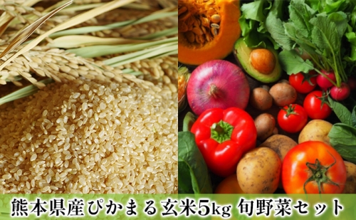 熊本県産　ぴかまる玄米5Kg+旬な野菜セット