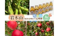 【定期便 全4回】岩木山の恵みを味わう定期便 合計4種類 毛豆 ジョナゴールド サンふじ りんごジュース 果物類 フルーツ 人気