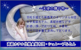羽毛を超えた新感覚のオリジナル布団です。素材すべて日本製。中素材には、新素材シュレープ?を使用していますミシン目を細かくし、直線キルトでホールド力をアップさせるなど、ミシンの縫製にもこだわっております