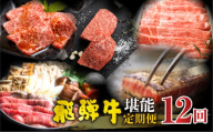 【まるごと定期便】飛騨牛堪能 12回 定期便 | 飛騨牛 和牛 国産牛 黒毛和牛 12ヶ月 1年 12回 年間 牛肉 すき焼き しゃぶしゃぶ ステーキ 切落し 切り落とし 焼肉 やきにく BBQ バーベキュー 赤身 霜降り 食べ比べ 冷凍 冷蔵