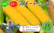 【令和7年産先行受付】北海道とままえ産スイートコーン　約15本 （先行予約　北海道産　とうもろこし　とうきび　朝どれ　朝もぎ　旬　新鮮　送料無料　冷蔵）