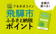 さるぼぼコイン　飛騨市ふるさと納税ポイント 30,000pt