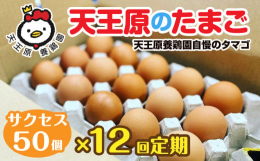 茨城県常総市の天王原養鶏園で作る「サクセス卵」は、濃厚ながらもあっさりとした口当たりでさらりとした卵です。卵独特な臭みがなく、卵が苦手というお客様からも好評です。また、白身の旨味を強めバランスが良い味