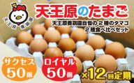 【定期便】12回定期 【天王原のたまご】 サクセス卵50個/ロイヤル卵50個【定期便 12回定期便 セット たまご 卵 玉子 タマゴ 濃厚  ハリ 弾力 ボリューム 甘味 旨味 卵黄 風味 生 コク 甘味 卵かけご飯 卵焼き 目玉焼き オムレツ 茶碗蒸し お菓子作り パンの材料】
