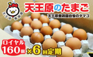 【定期便】6回定期 【天王原のたまご】 ロイヤル卵160個入り【定期便 6回定期便 セット たまご 卵 玉子 タマゴ 濃厚  ハリ 弾力 ボリューム 甘味 旨味 卵黄 風味 生 コク 甘味 卵かけご飯 卵焼き 目玉焼き オムレツ 茶碗蒸し お菓子作り パンの材料】