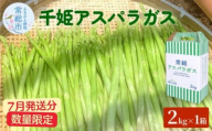 【7月発送分】千姫アスパラガス 丁寧にすべてを手作業で丹精を込めて作りあげた 自信のアスパラガス ※2025年7月上旬～7月下旬頃に順次発送予定 ※沖縄・離島への配送不可