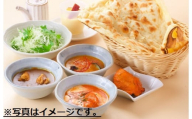 【インド亭】お試し5種カレー(各１個入）