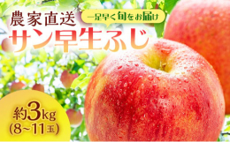 【お申込み受付：2025年9月30日まで】【発送予定：2025年10月1日〜10月10日】人気の青森県産りんご 白神山地の麓、津軽鰺ヶ沢町のさいきち農園のサン早生ふじ(弘前ふじ)約3kg(8〜11玉)