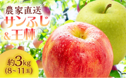 【お申込み受付：2025年12月31日まで】【年内発送予定：2025年11月15日〜12月25日 年明け発送：2026年1月6日〜10日】人気の青森県産りんご 白神山地の麓、津軽鰺ヶ沢町のさいきち農園