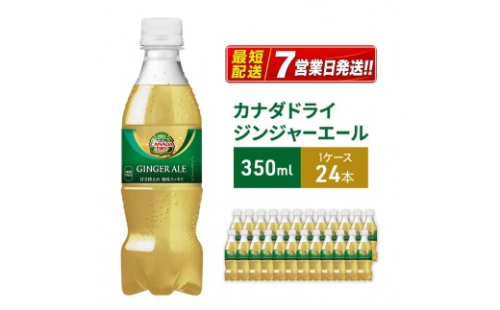 カナダドライ ジンジャーエール 350ml 1ケース 24本 ペットボトル 2130260 - 兵庫県明石市