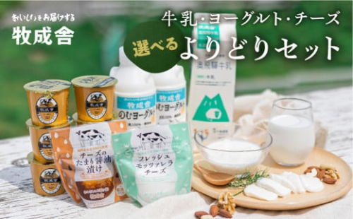 ＜すぐ届く!!＞スタンダードセット よりどり乳製品セット 詰め合わせ 福袋 牛乳・ヨーグルト・チーズ　飛騨産生乳で作るこだわりのセット 乳飲料 乳製品 ヨーグルト チーズ モッツァレラチーズ 飲むヨーグルト 牧成舎 乳製品詰め合わせ 惣菜 飛騨市 [B0096xch]