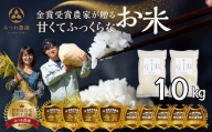 [再入荷] ＼在庫ある限り/11月中旬より順次発送 令和7年産 にこまる 選べる 10kg 金賞受賞農家が贈る 新米 みつわ農園 お米 白米 飛騨産 送料無料 こめ コメ 飛騨市 32000円 ~