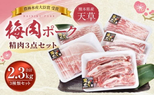 天草梅肉ポーク 精肉3点セット 約2.3kg 焼肉 バーベキュー 豚バラ もも スペアリブ