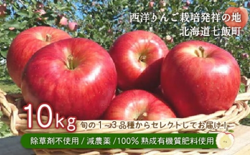  【先行予約】北海道七飯町産 りんご 10kg 除草剤不使用 減農薬 有機質肥料使用　
