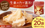 【お中元対象】ほんきのしょうが糖 35g×20袋【ジンジベル】 [AYAD001]