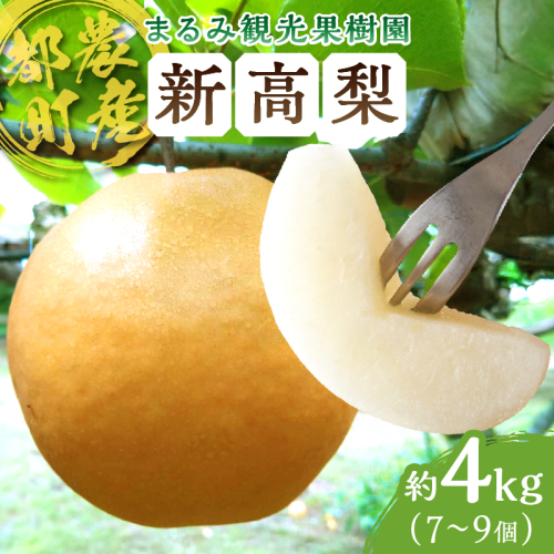 先行予約≪期間限定≫まるみ観光果樹園の『新高梨』(約4kg) なし 果物 フルーツ 天然 ミネラル栽培_T036-002 2131970 - 宮崎県都農町