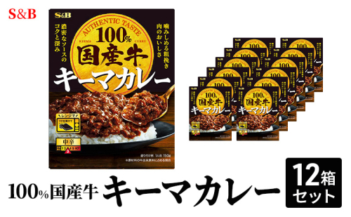 S&B 国産牛100% キーマカレー　12箱セット 2132411 - 長野県小諸市