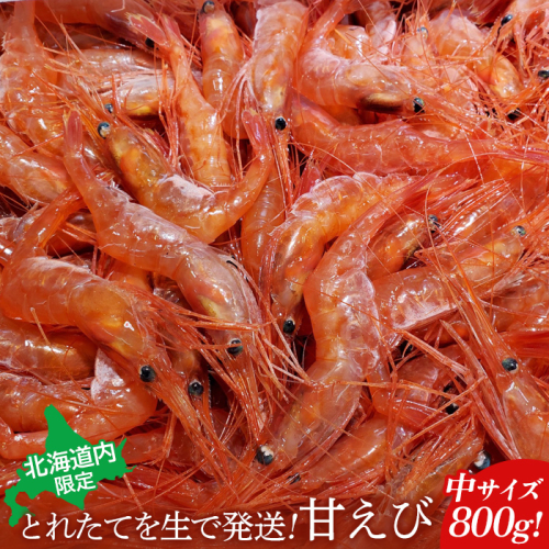【北海道内限定】とれたてを生で発送! 甘えび800g（中サイズ以上）【0601301】 2132538 - 北海道羽幌町