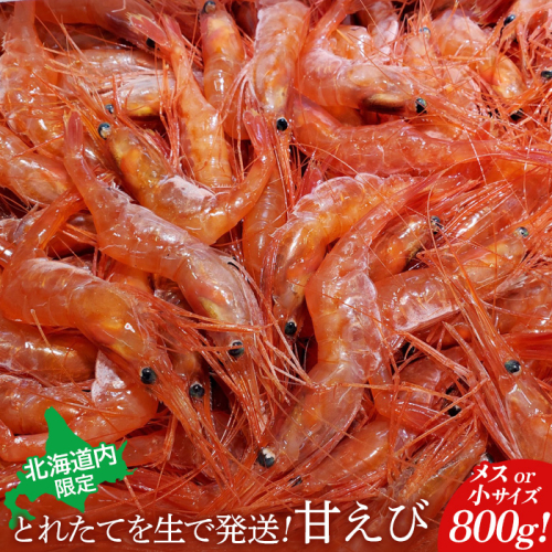 【北海道内限定】とれたてを生で発送! 甘えび800g（メスor小サイズ）【06015】 2132539 - 北海道羽幌町