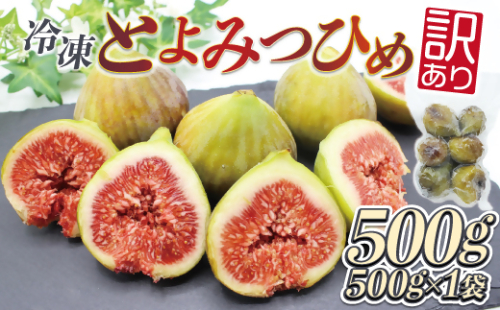 福岡県産いちじく「とよみつひめ」　冷凍パック500g（500g×1袋）[G2325] 2132540 - 福岡県福津市