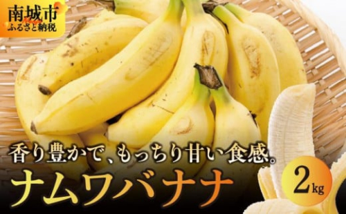 バナナ 南城市 ナムワバナナ 2kg 2132545 - 沖縄県南城市