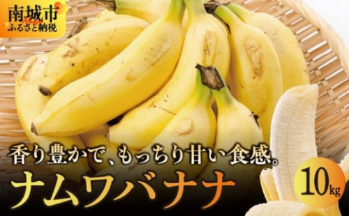 バナナ 南城市 ナムワバナナ 10kg 2132548 - 沖縄県南城市