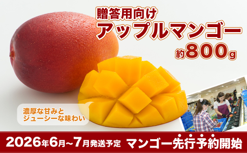 【2026年発送・先行予約】＜贈答用向け＞アップルマンゴー　約800g（化粧箱） 2132565 - 沖縄県南城市