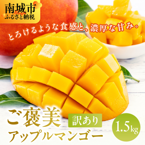 【先行予約】訳あり南城市観光協会イチ推し！ご褒美アップルマンゴー　1,5kg 2132566 - 沖縄県南城市