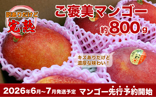 【2026年発送・先行予約】自分へのご褒美アップルマンゴー　約800g 2132567 - 沖縄県南城市