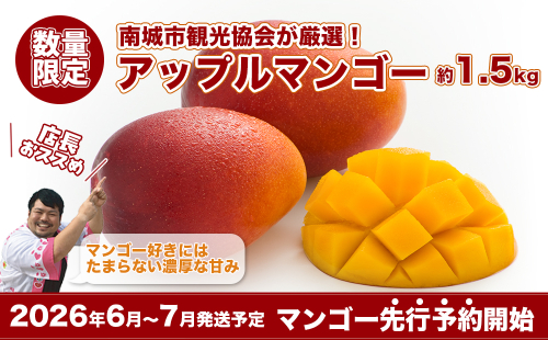 【2026年発送・先行予約】南城市観光協会が厳選！プレミアムアップルマンゴー約1.5kg 2132568 - 沖縄県南城市