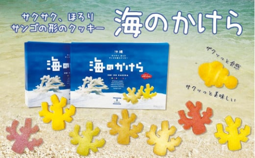 海のかけらクッキー 1箱8個入り2箱セット 2132580 - 沖縄県南城市