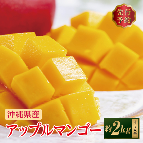 (先行受付)【2027年発送】アップルマンゴー 南城市 約2kg (4?5玉)   I  アップルマンゴー あっぷるまんごー マンゴー まんごー トロピカルフルーツ フルーツ 完熟 ギフト  2kg   沖縄県 南城市 ふるさと納税 しろまファーム 2132589 - 沖縄県南城市