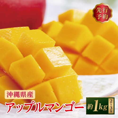 (先行受付)【2027年発送】アップルマンゴー 南城市 約1kg (2～3玉)   I  アップルマンゴー あっぷるまんごー マンゴー まんごー トロピカルフルーツ フルーツ 完熟 ギフト  1kg   沖縄県 南城市 ふるさと納税 しろまファーム 2132590 - 沖縄県南城市