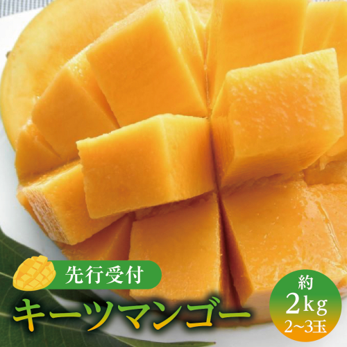 (先行受付)【2027年発送】キーツマンゴー 南城市 約2kg (2?3玉)   I  キーツマンゴー きーつまんごー マンゴー まんごー トロピカルフルーツ フルーツ 贈答用 2000g 2kg    沖縄県 南城市 ふるさと納税 しろまファーム 2132592 - 沖縄県南城市