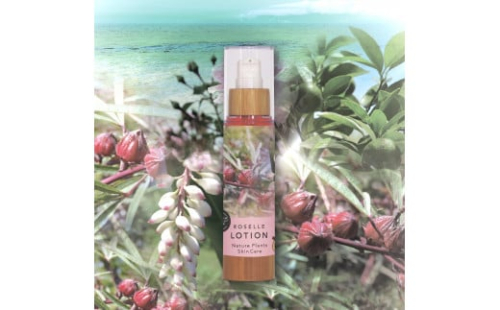 【Nature Plants Skin Care】夏のスキンケアセット 2132594 - 沖縄県南城市