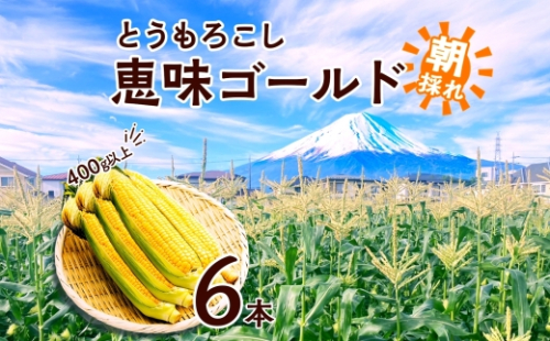 とうもろこし 恵味 ゴールド 400g以上 × 6本 高糖度 トウモロコシ スイートコーン 玉蜀黍 イエローコーン 黄 夏野菜 甘い ジューシー 野菜 おやつ 旬 産地直送 送料無料 湖南野菜出荷組合 山梨県 富士河口湖町 FEM001 2132620 - 山梨県富士河口湖町
