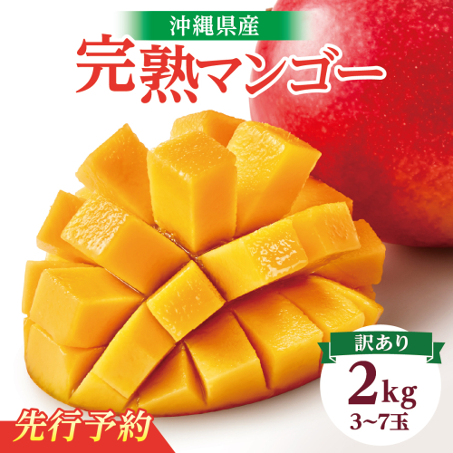 【2026年発送】＜訳あり・ご家庭用＞完熟アップルマンゴー約2kg（白箱）3玉〜7玉 2132629 - 沖縄県南城市