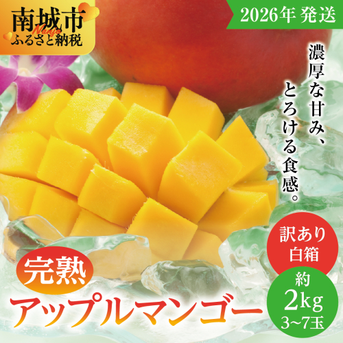 【2026年発送】<訳あり・ご家庭用>完熟アップルマンゴー約2kg(白箱)3玉〜7玉 2132629 - 沖縄県南城市