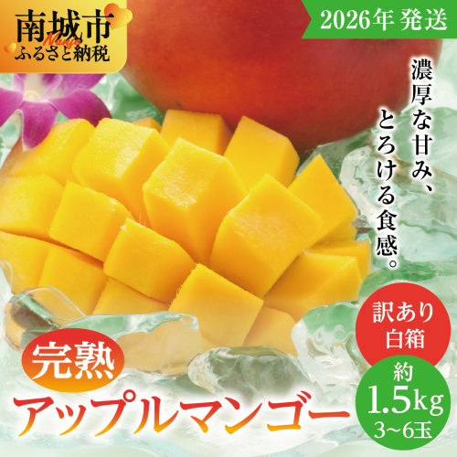 ★【2026年発送】<訳あり・ご家庭用>完熟アップルマンゴー約1.5kg(白箱)3玉〜6玉 2132630 - 沖縄県南城市