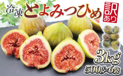 福岡県産いちじく「とよみつひめ」　冷凍パック3kg（500g×6袋）[G2328] 2132820 - 福岡県福津市