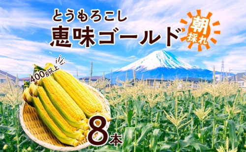 とうもろこし 恵味 ゴールド 400g以上 × 8本 高糖度 トウモロコシ スイートコーン 玉蜀黍 イエローコーン 黄 夏野菜 甘い ジューシー 野菜 おやつ 旬 産地直送 送料無料 湖南野菜出荷組合 山梨県 富士河口湖町 FEM002 2132846 - 山梨県富士河口湖町