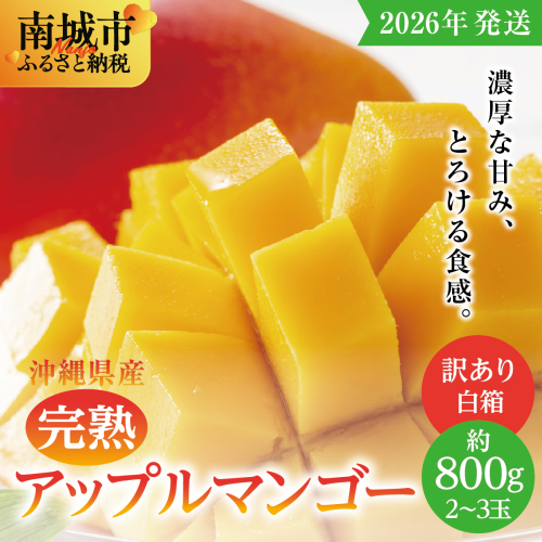 【2026年発送】＜訳あり・ご家庭用＞完熟アップルマンゴー約800g（白箱）2玉〜3玉 2132883 - 沖縄県南城市