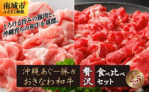 【ふるさと納税】沖縄あぐー豚&おきなわ和牛の贅沢食べ比べセット(2.5kg) 2132902 - 沖縄県南城市